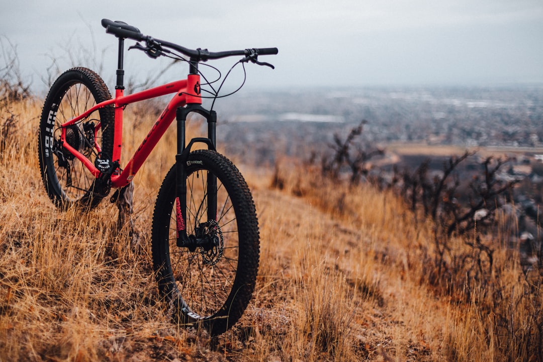 Photo Mountain bikes