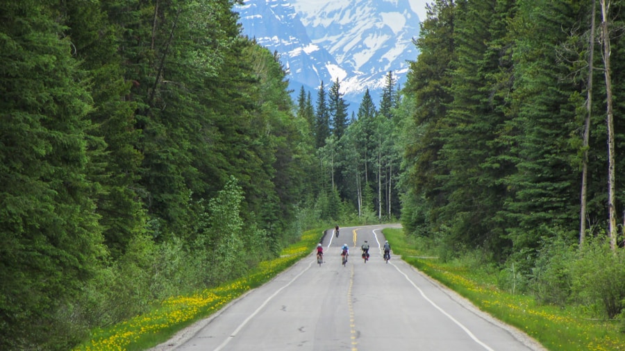 Photo Cycling tour companies